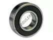 6004-2RS-C2-SKF