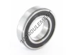 6006-2RZTN9-HC5C3WT-SKF