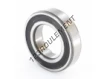 6006-2RZTN9-HC5C3WT-SKF