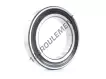6019-2RS1-SKF