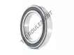 6019-2RS1-SKF