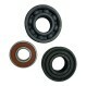 6206-2RS2-C3-S1-GJP-SKF
