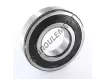 6313-2RS-SKF