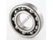 AB44061S01-NTN