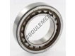 NU1009-ECP-SKF