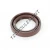 OAS-24X35X6-FPM