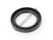 OAS-50.80X73.02X9.52-NBR
