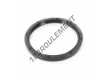 OAS-85X100X8-NBR